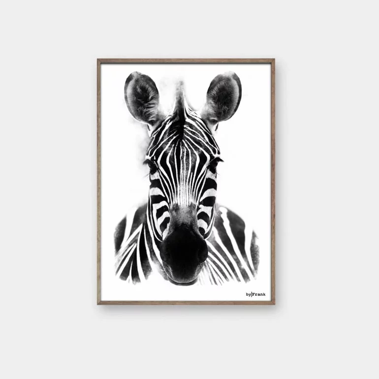 Zebra Plakat byFrank